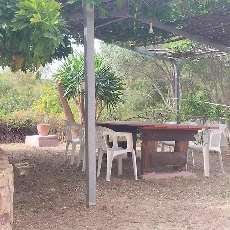 Green House Appartement Cala Liberotto